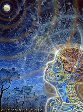 Portrait or artwork for Episode 89 – James W. Jesso – Psilocybin, Plant Medicine, Deconstructing the Ego & Surrender